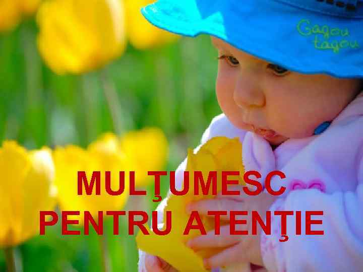 MULŢUMESC PENTRU ATENŢIE 