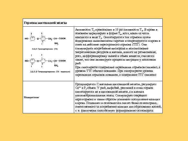 Гормоны щитовидной железы Активность Т 3 превосходит в 10 раз активность Т 4. В