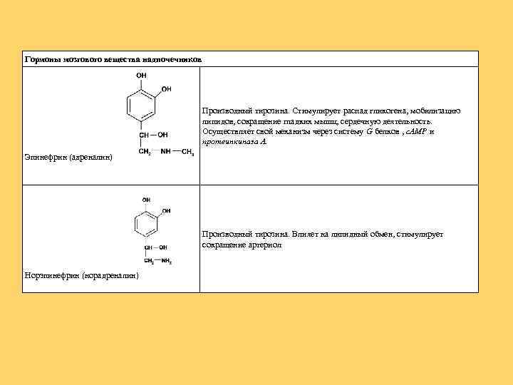 Гормоны мозгового вещества надпочечников Производный тирозина. Стимулирует распад гликогена, мобилизацию липидов, сокращение гладких мышц,