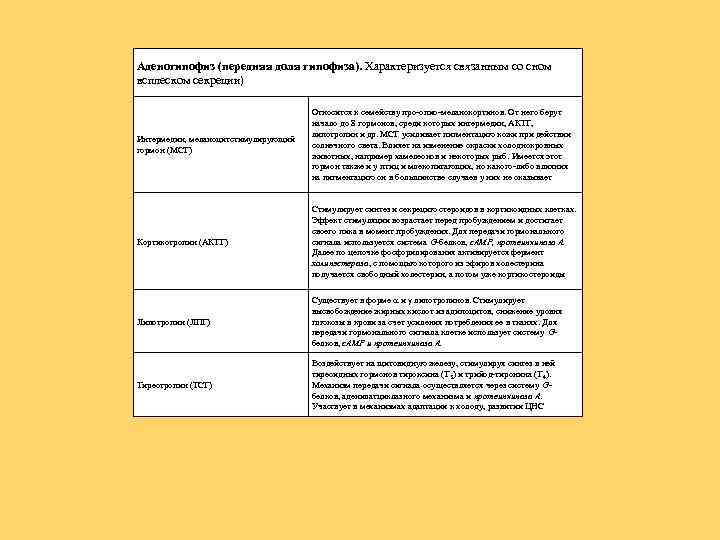 Аденогипофиз (передняя доля гипофиза). Характеризуется связанным со сном всплеском секреции) Интермедин, меланоцитстимулирующий гормон (MСГ)