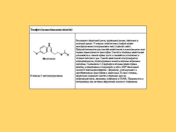 Эпифиз (шишковидная железа) N-ацетил-5 -метокситриптамин Регулирует сердечный ритм, циркадные ритмы, сезонные и половые циклы.