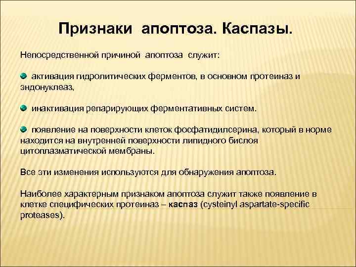 Признаки апоптоза. Каспазы. Непосредственной причиной апоптоза служит: активация гидролитических ферментов, в основном протеиназ и