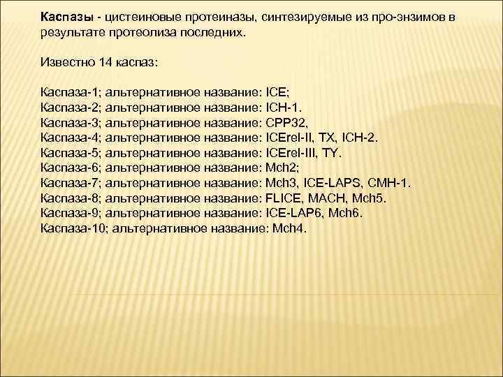 Каспазы - цистеиновые протеиназы, синтезируемые из про-энзимов в результате протеолиза последних. Известно 14 каспаз:
