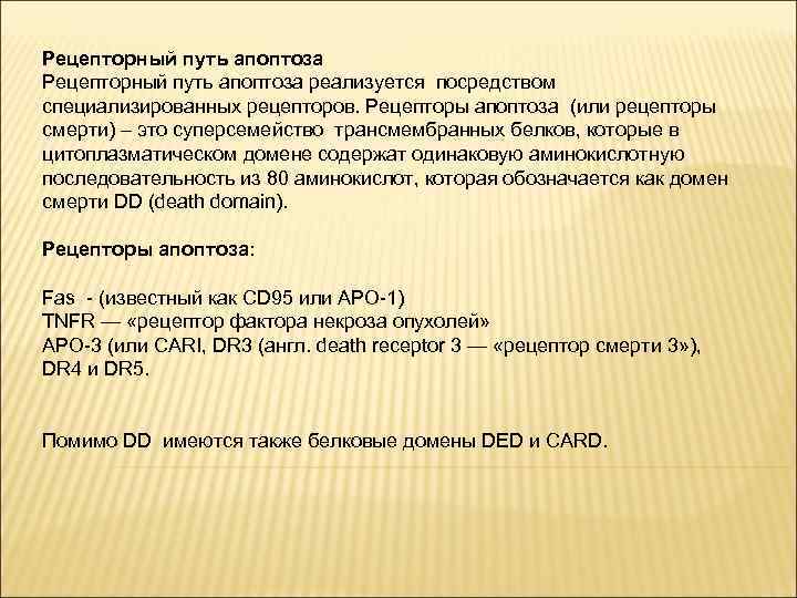 Рецепторный путь апоптоза реализуется посредством специализированных рецепторов. Рецепторы апоптоза (или рецепторы смерти) – это