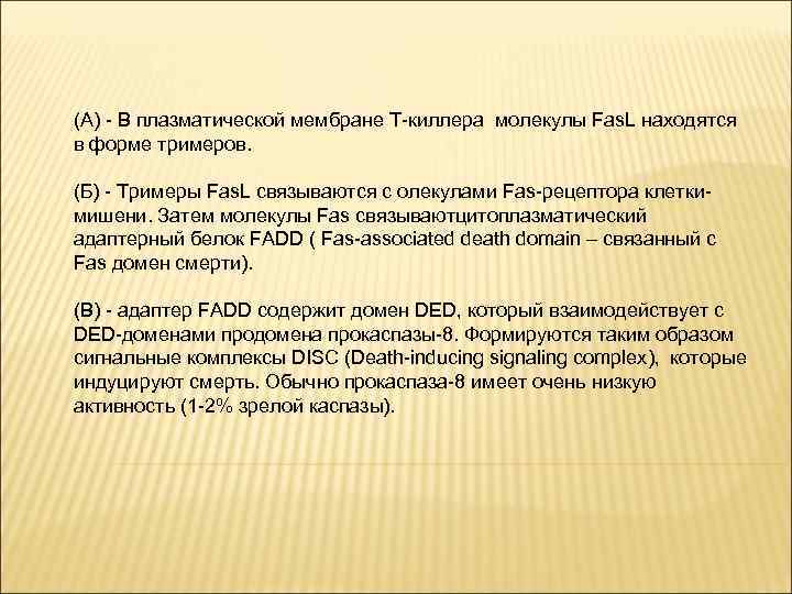 (А) - В плазматической мембране Т-киллера молекулы Fas. L находятся в форме тримеров. (Б)