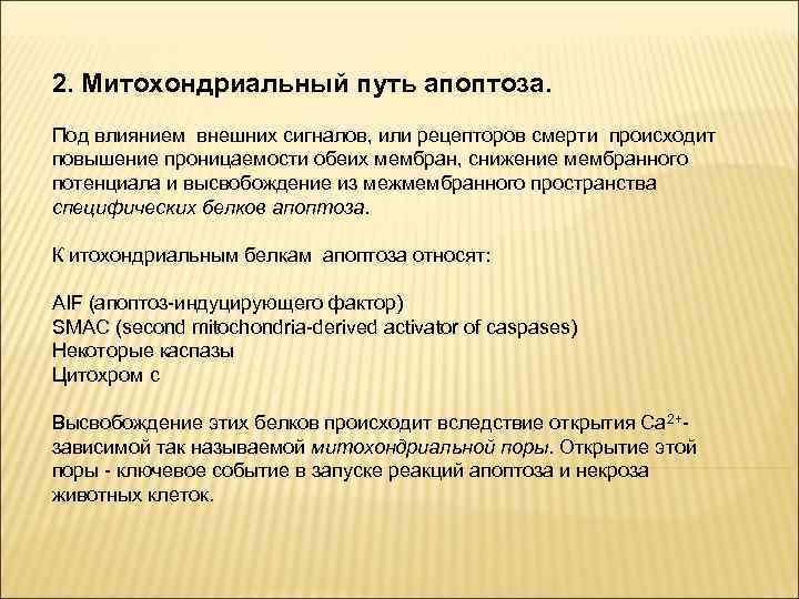 2. Митохондриальный путь апоптоза. Под влиянием внешних сигналов, или рецепторов смерти происходит повышение проницаемости
