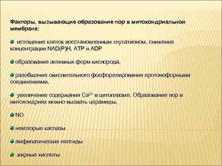 Факторы, вызывающие образование пор в митохондриальной мембране: истощение клеток восстановленным глутатионом, снижение концентрации NAD(P)H,