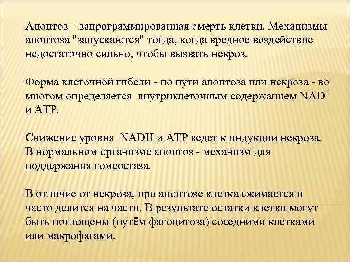 Апоптоз – запрограммированная смерть клетки. Механизмы апоптоза 