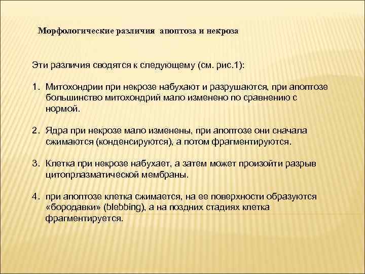 Морфологические различия апоптоза и некроза Эти различия сводятся к следующему (см. рис. 1): 1.