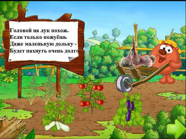 Головой на лук похож. Если только пожуёшь Даже маленькую дольку Будет пахнуть очень долго.