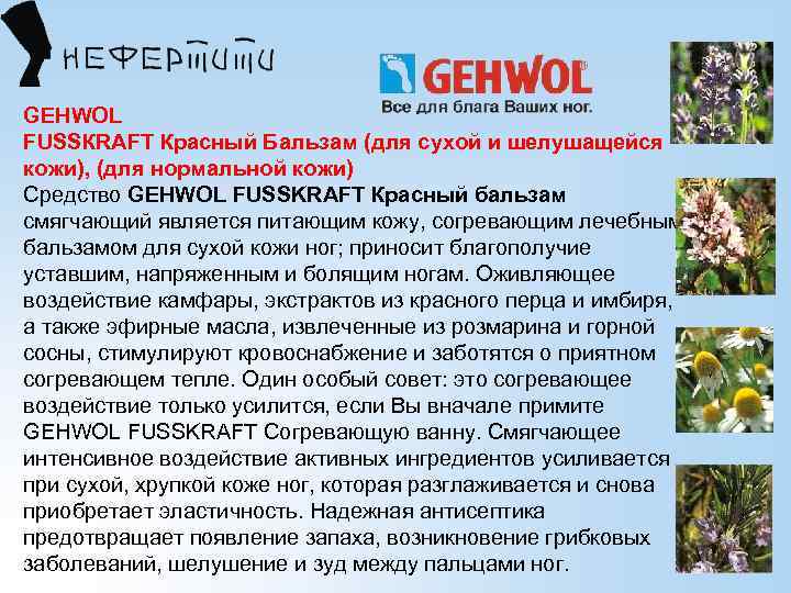 GEHWOL FUSSКRАFT Красный Бальзам (для сухой и шелушащейся кожи), (для нормальной кожи) Средство GEHWOL