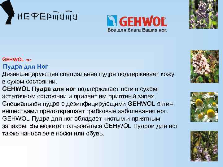 GEHWOL med. Пудра для Hor Дезинфицирующая специальная пудра поддерживает кожу в сухом состоянии. GEHWOL