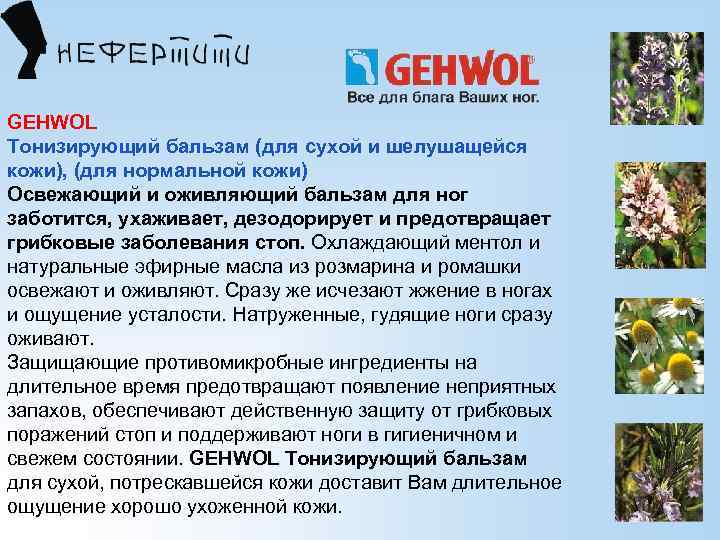 GEHWOL Тонизирующий бальзам (для сухой и шелушащейся кожи), (для нормальной кожи) Освежающий и оживляющий