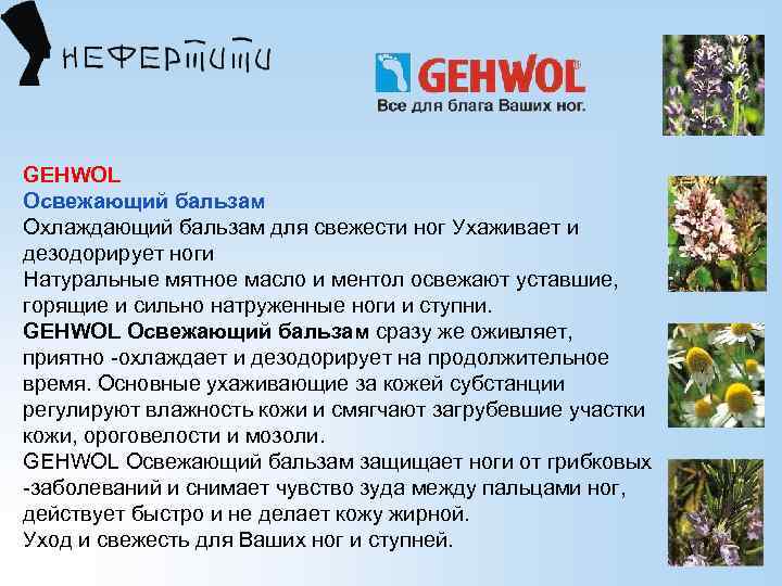 GEHWOL Освежающий бальзам Охлаждающий бальзам для свежести ног Ухаживает и дезодорирует ноги Натуральные мятное