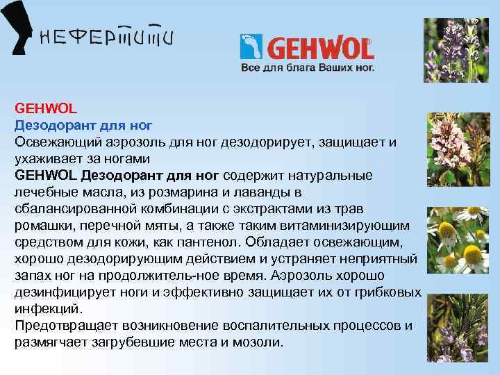 GEHWOL Дезодорант для ног Освежающий аэрозоль для ног дезодорирует, защищает и ухаживает за ногами