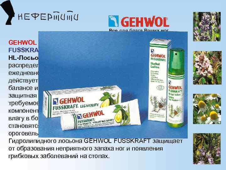 GEHWOL FUSSKRAFT® НL-Лосьон с кepaмидами (сухая кожа) НL-Лосьон С керамидами GEHWOL FUSSKRAFТ легко распределяется