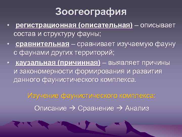 Зоогеография • регистрационная (описательная) – описывает состав и структуру фауны; • сравнительная – сравнивает