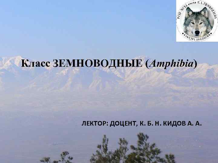 Класс ЗЕМНОВОДНЫЕ (Amphibia) ЛЕКТОР: ДОЦЕНТ, К. Б. Н. КИДОВ А. А. 