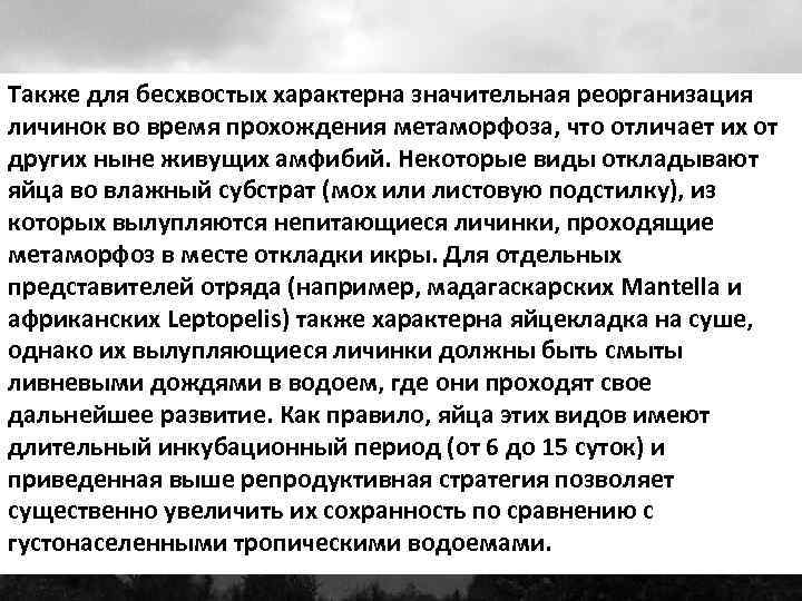 Также для бесхвостых характерна значительная реорганизация личинок во время прохождения метаморфоза, что отличает их