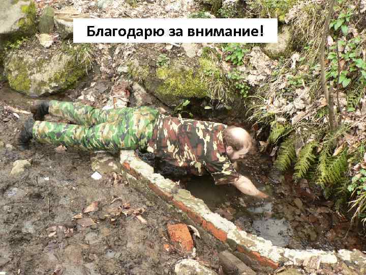 Благодарю за внимание! 