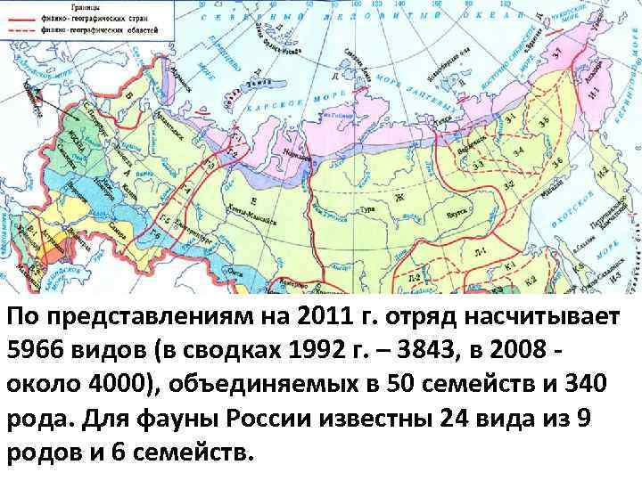 По представлениям на 2011 г. отряд насчитывает 5966 видов (в сводках 1992 г. –