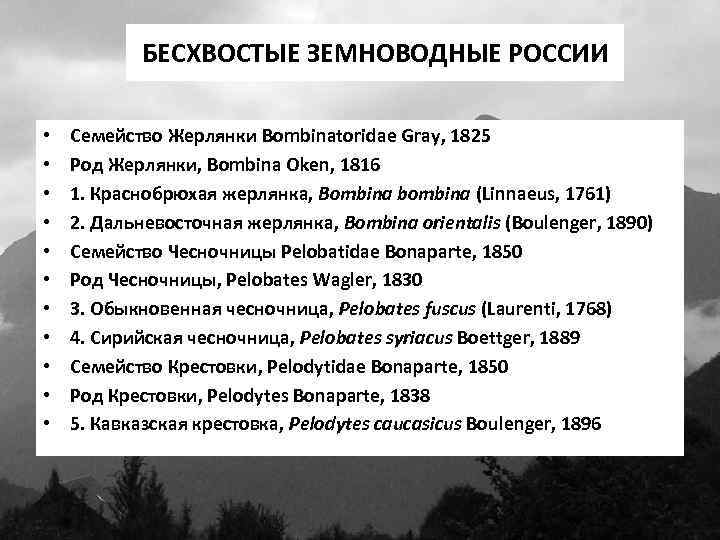 БЕСХВОСТЫЕ ЗЕМНОВОДНЫЕ РОССИИ • • • Семейство Жерлянки Bombinatoridae Gray, 1825 Род Жерлянки, Bombina