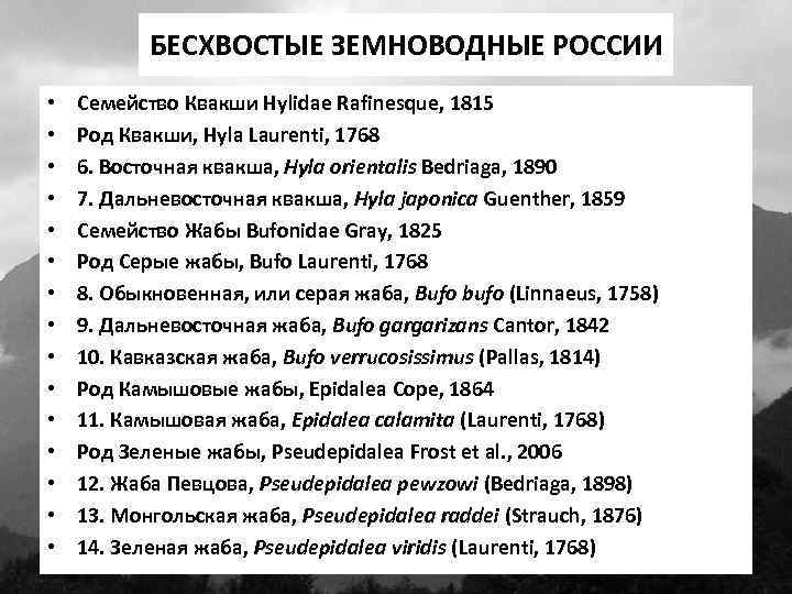 БЕСХВОСТЫЕ ЗЕМНОВОДНЫЕ РОССИИ • • • • Семейство Квакши Hylidae Rafinesque, 1815 Род Квакши,