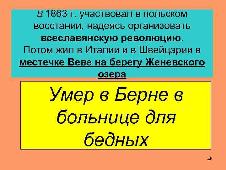 В 1863 г. участвовал в польском восстании, надеясь организовать всеславянскую революцию. Потом жил в