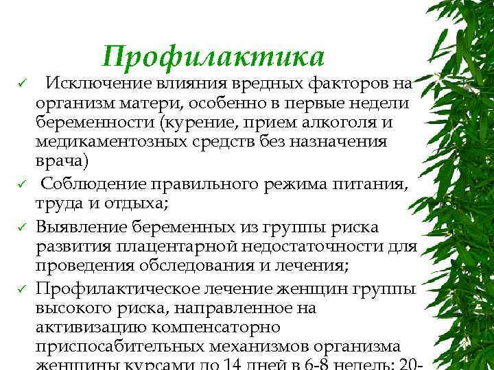 Профилактика ü ü Исключение влияния вредных факторов на организм матери, особенно в первые недели