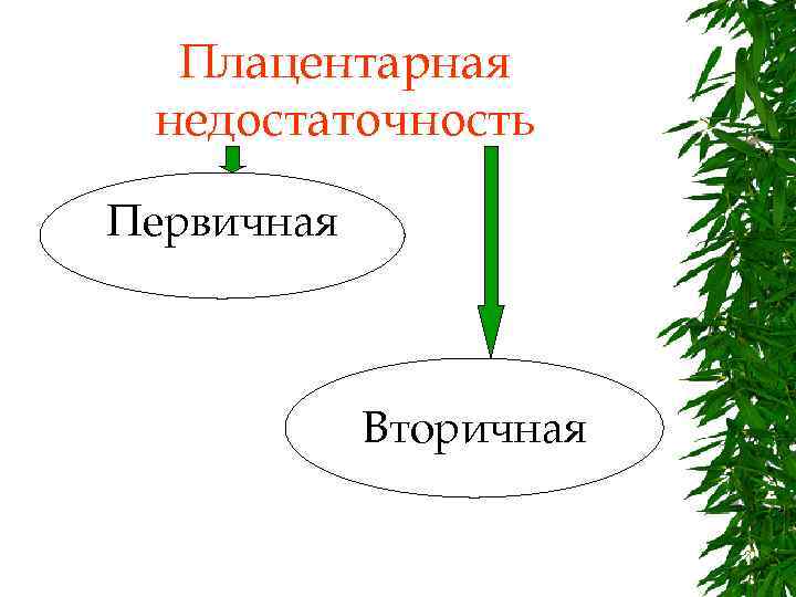 Плацентарная недостаточность Первичная Вторичная 