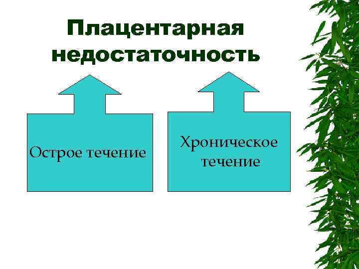 Плацентарная недостаточность Острое течение Хроническое течение 