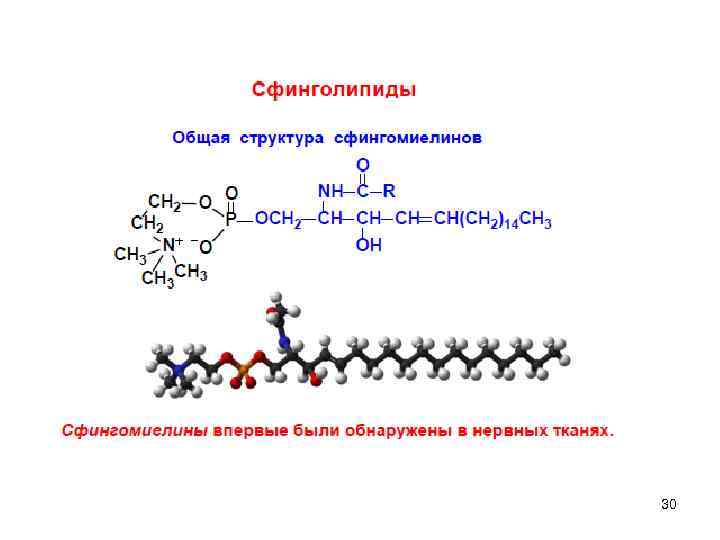 Структура глицерофосфатов и сфинголипидов. Строение сфинголипидов биохимия. Структурная формула сфинголипидов. Сфинголипиды строение. Химическое строение и функции сфинголипидов.