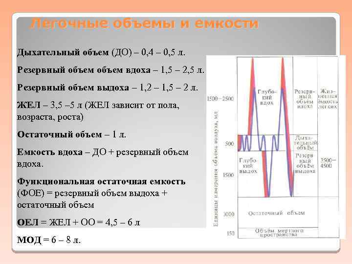 Расчет дыхательного объема. Легочные объемы и емкости. Резервный объем выдоха функция. Глубина и частота дыхания физиология. КТУ В физиологии дыхания.