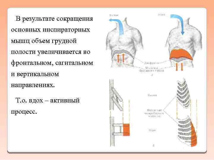 Полость увеличение