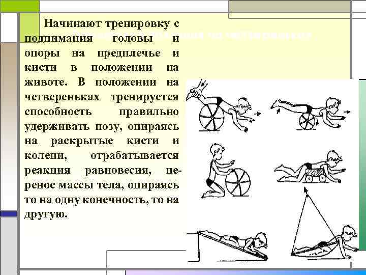 Какая структура ритма отражает перекрестную схему ползания