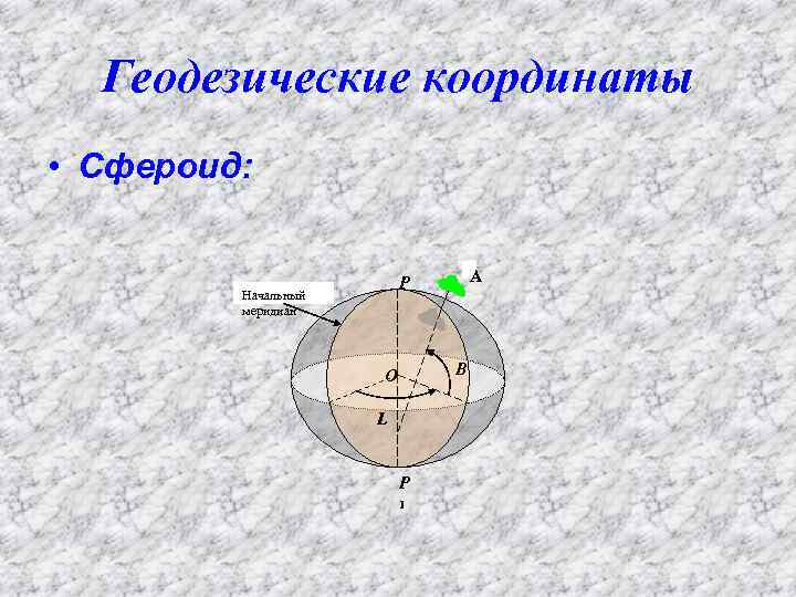 Геодезические координаты • Сфероид: А P Начальный меридиан B O L P 1 