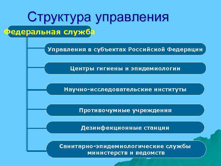 Структура управления Федеральная служба Управления в субъектах Российской Федерации Центры гигиены и эпидемиологии Научно-исследовательские