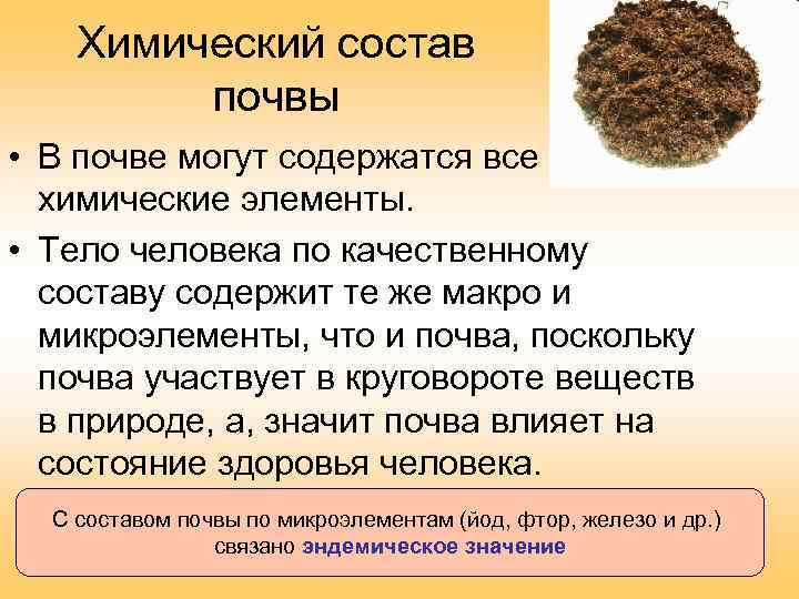Химический состав почвы • В почве могут содержатся все химические элементы. • Тело человека
