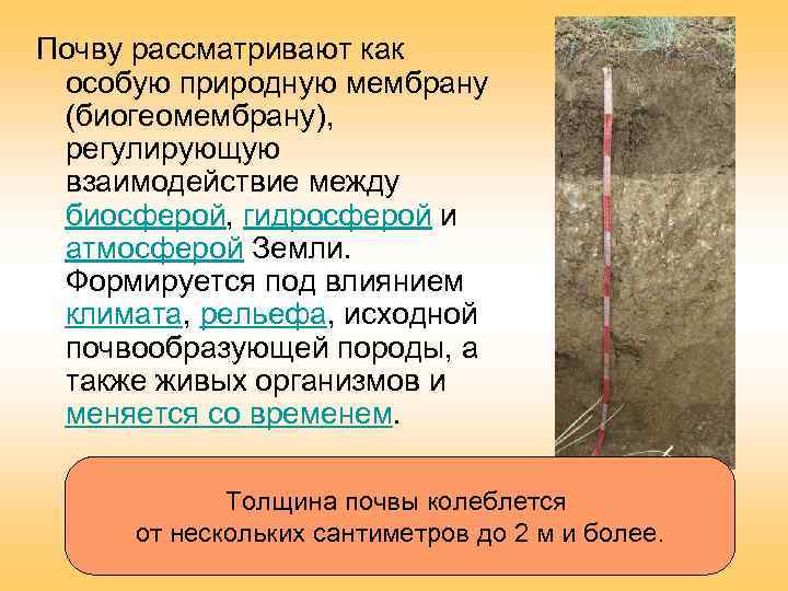 Почву рассматривают как особую природную мембрану (биогеомембрану), регулирующую взаимодействие между биосферой, гидросферой и атмосферой