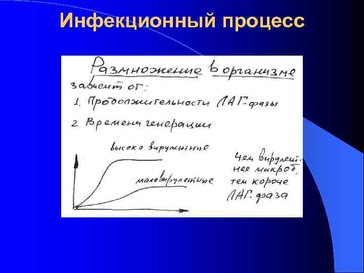 Инфекционный процесс 