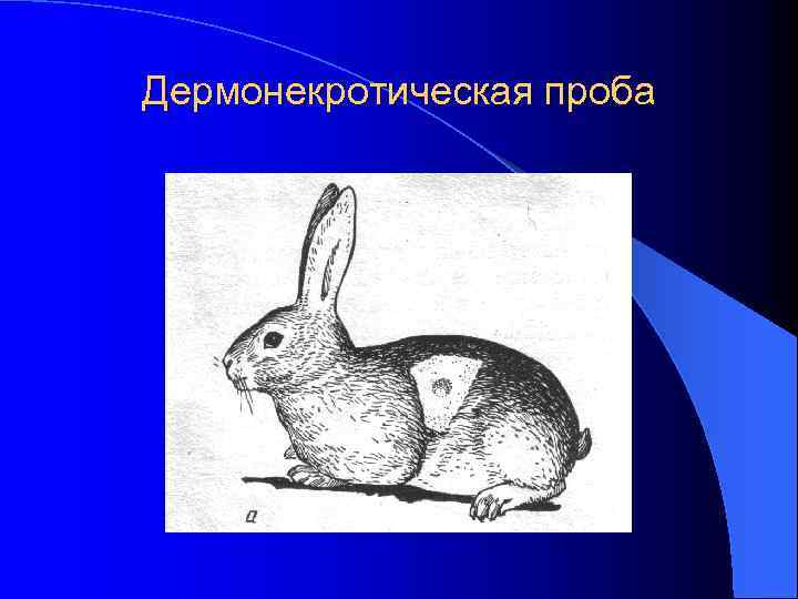 Дермонекротическая проба 