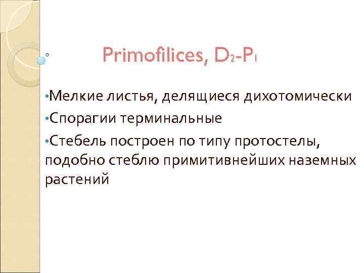 Primofilices, D 2 -P 1 • Мелкие листья, делящиеся дихотомически • Спорагии терминальные •