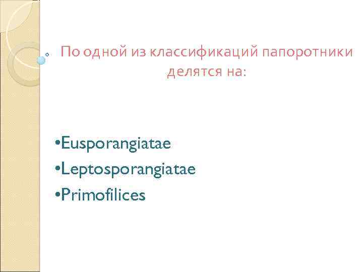По одной из классификаций папоротники делятся на: • Eusporangiatae • Leptosporangiatae • Primofilices 