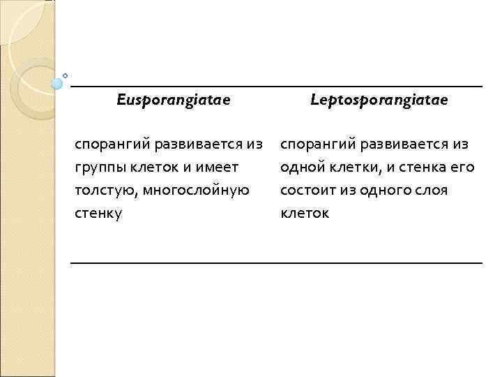 Eusporangiatae Leptosporangiatae спорангий развивается из группы клеток и имеет толстую, многослойную стенку спорангий развивается