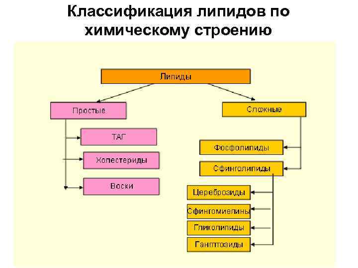 Классификация липидов по химическому строению 