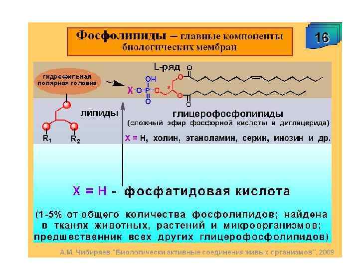 Липиды неполярные вещества