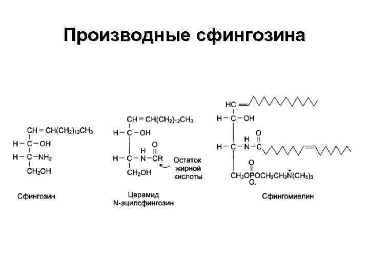 Производные сфингозина 