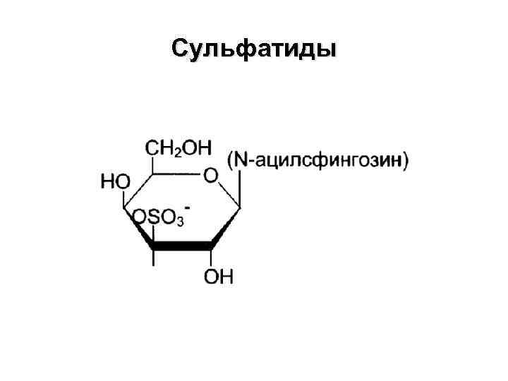 Сульфатиды 