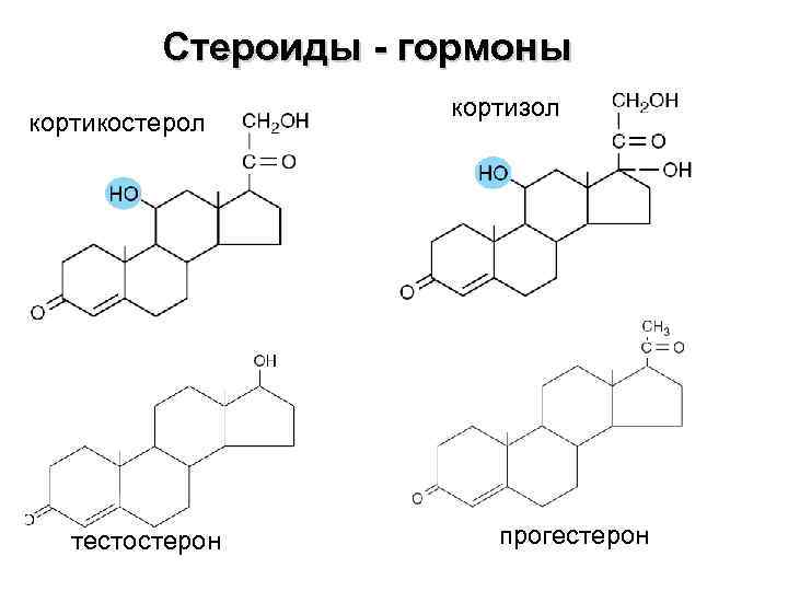 Схема стероидных гормонов