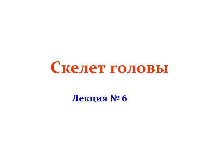 Скелет головы Лекция № 6 